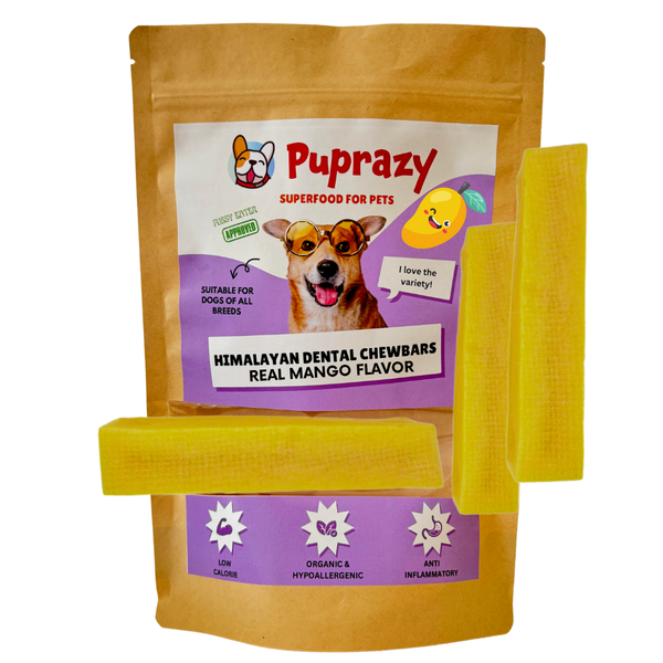 Puprazy Himalayan Dental Chewbars-MANGO FLAVOR, Yak Cheese Dog Treats, Low Calorie, Organic, Easily Digestible